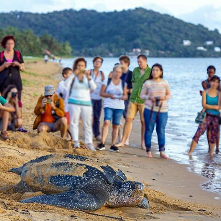 Le Petit Marin Des Salines A 0 Metre De La Plage Remire-Montjoly ภายนอก รูปภาพ